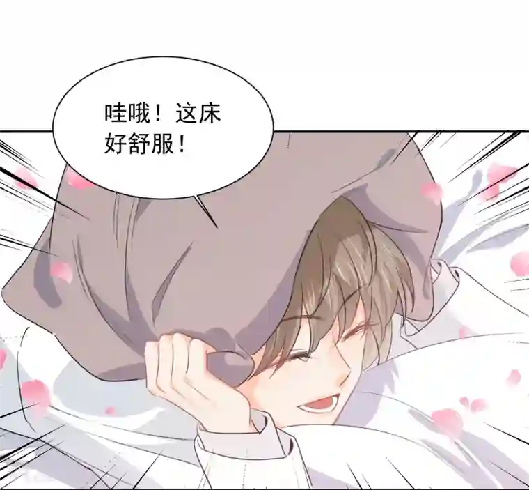 宠物情缘第38话 浪漫定制