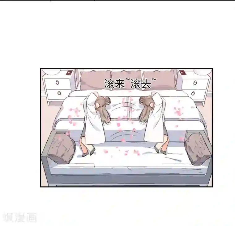 宠物情缘第38话 浪漫定制