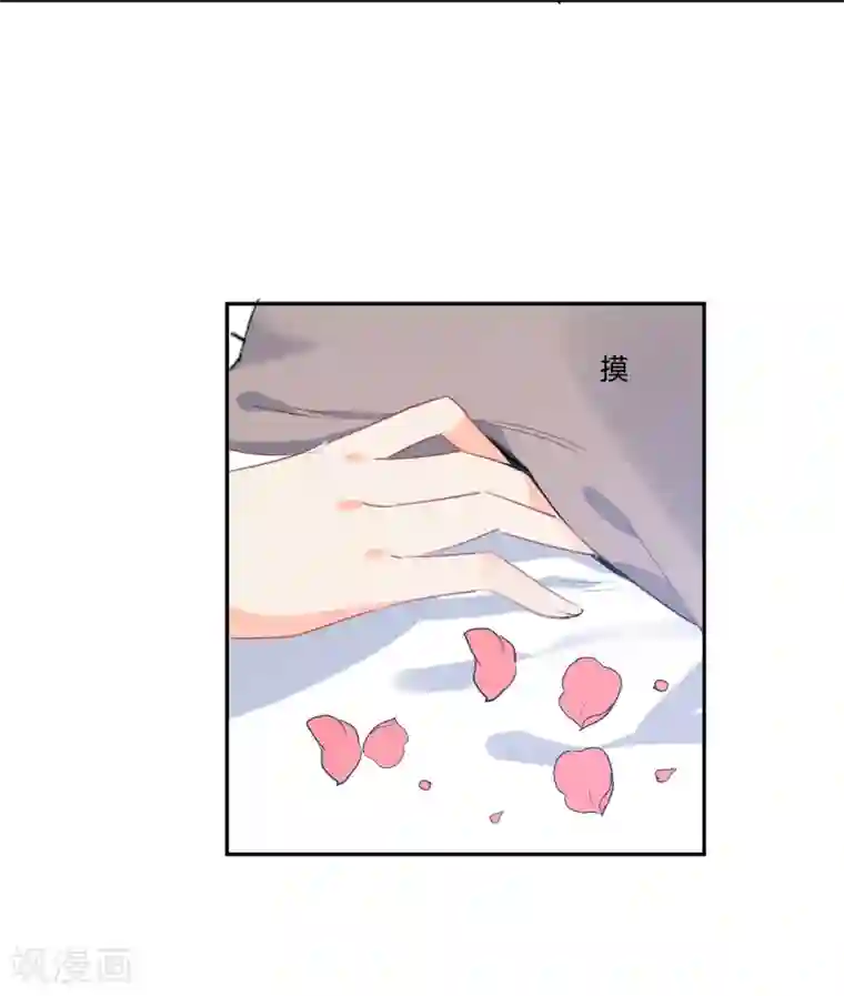 宠物情缘第38话 浪漫定制