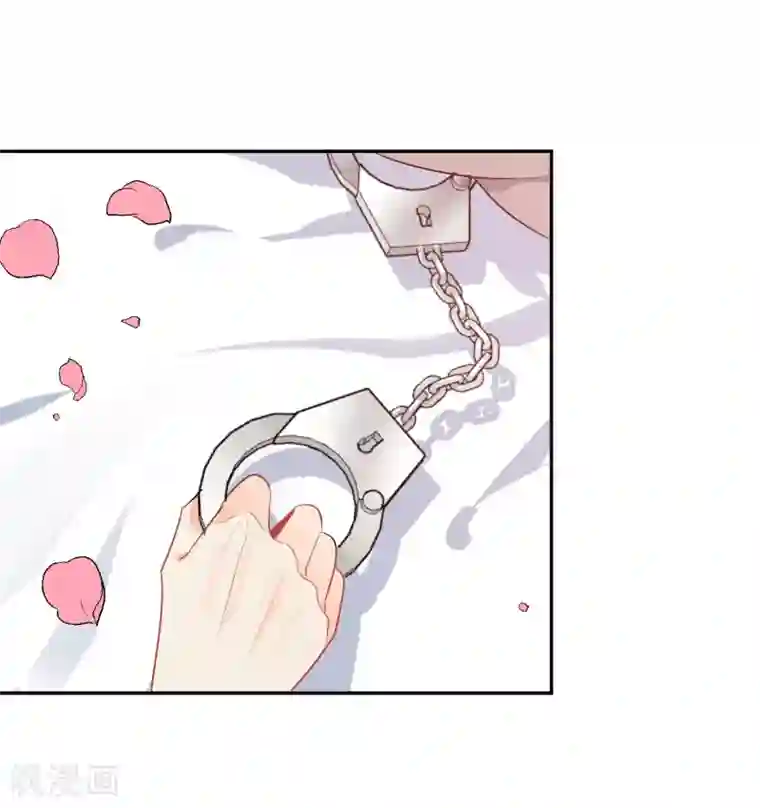 宠物情缘第38话 浪漫定制