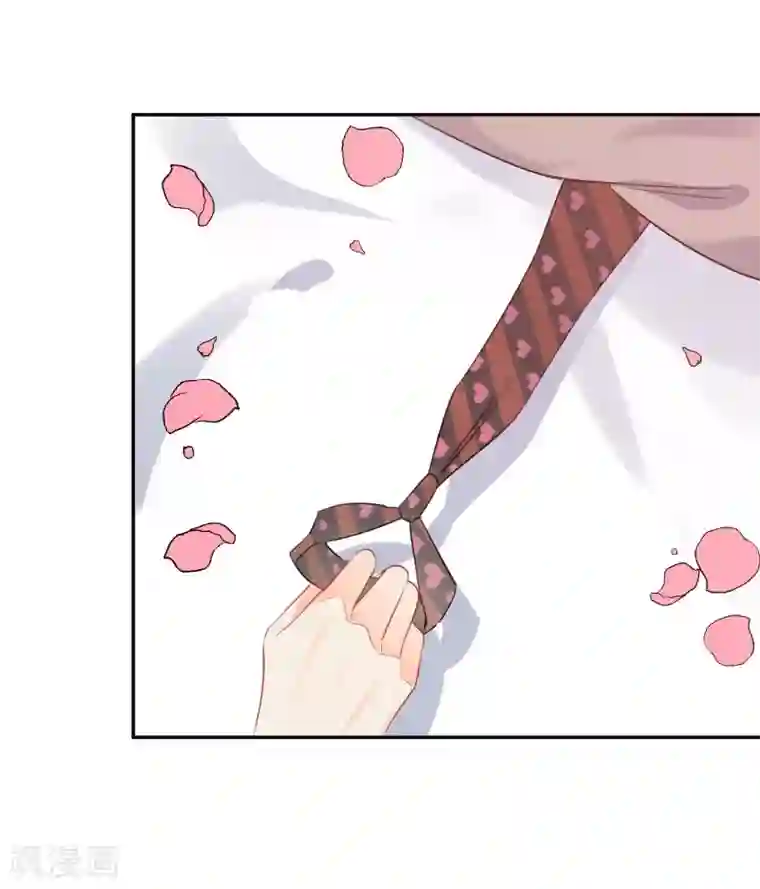 宠物情缘第38话 浪漫定制