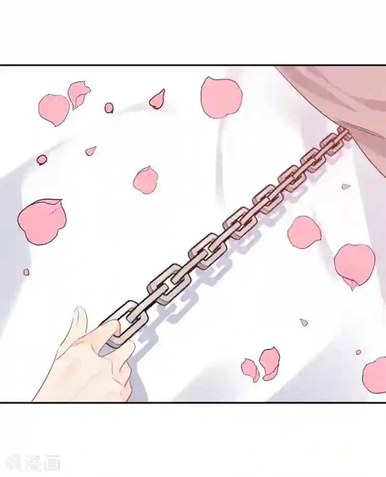 宠物情缘第38话 浪漫定制