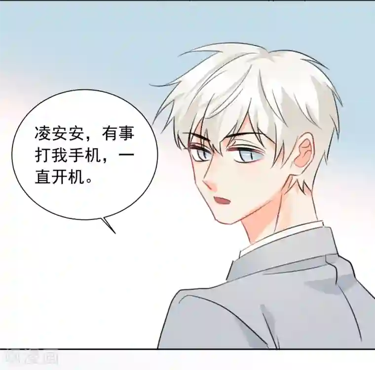 宠物情缘第38话 浪漫定制