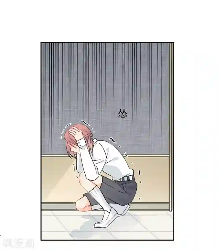 宠物情缘第38话 浪漫定制