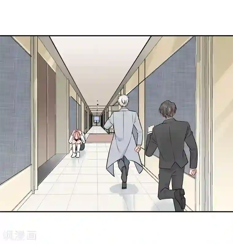 宠物情缘第38话 浪漫定制