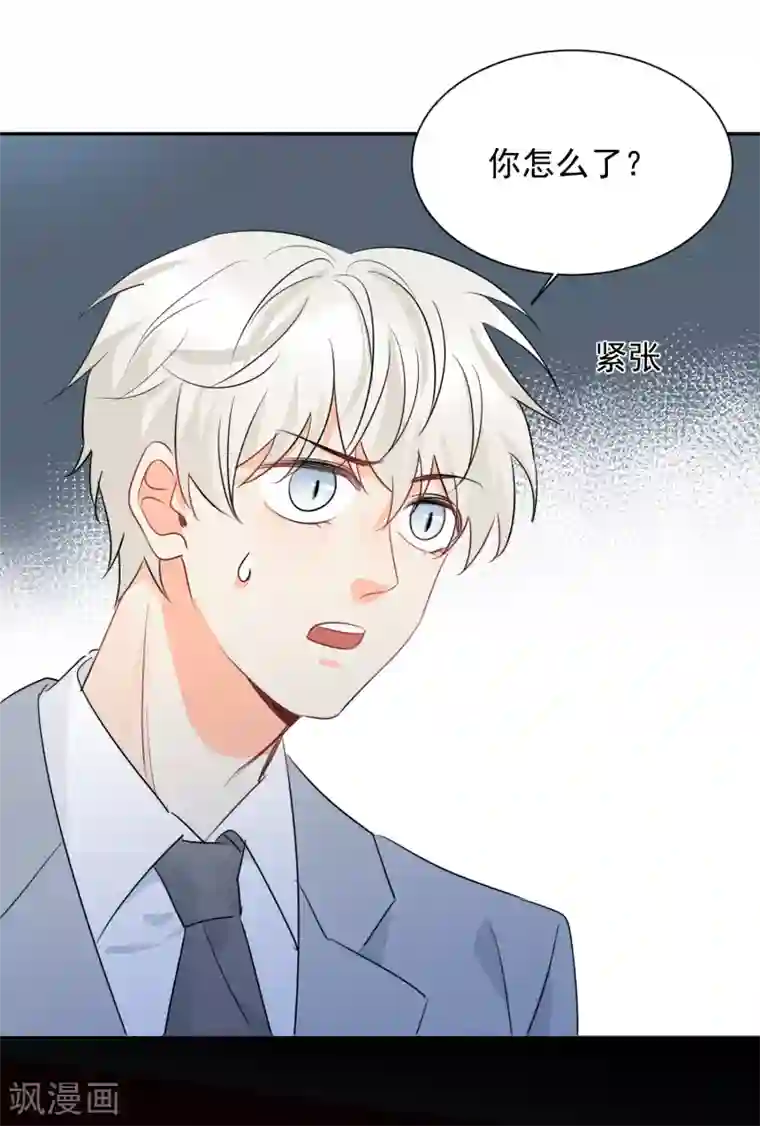 宠物情缘第38话 浪漫定制