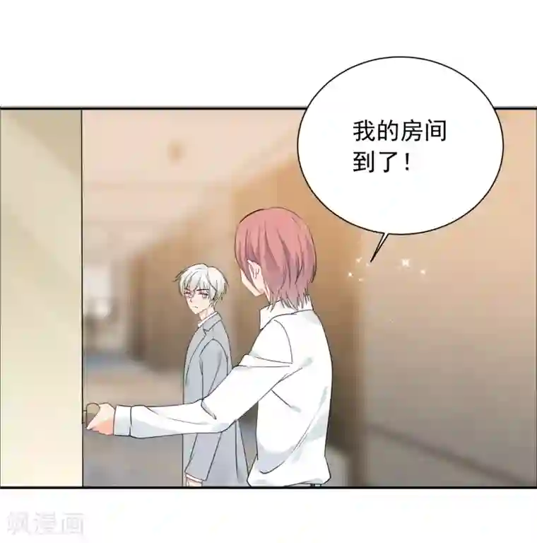 宠物情缘第39话 来者不善