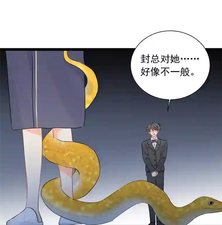 宠物情缘第39话 来者不善