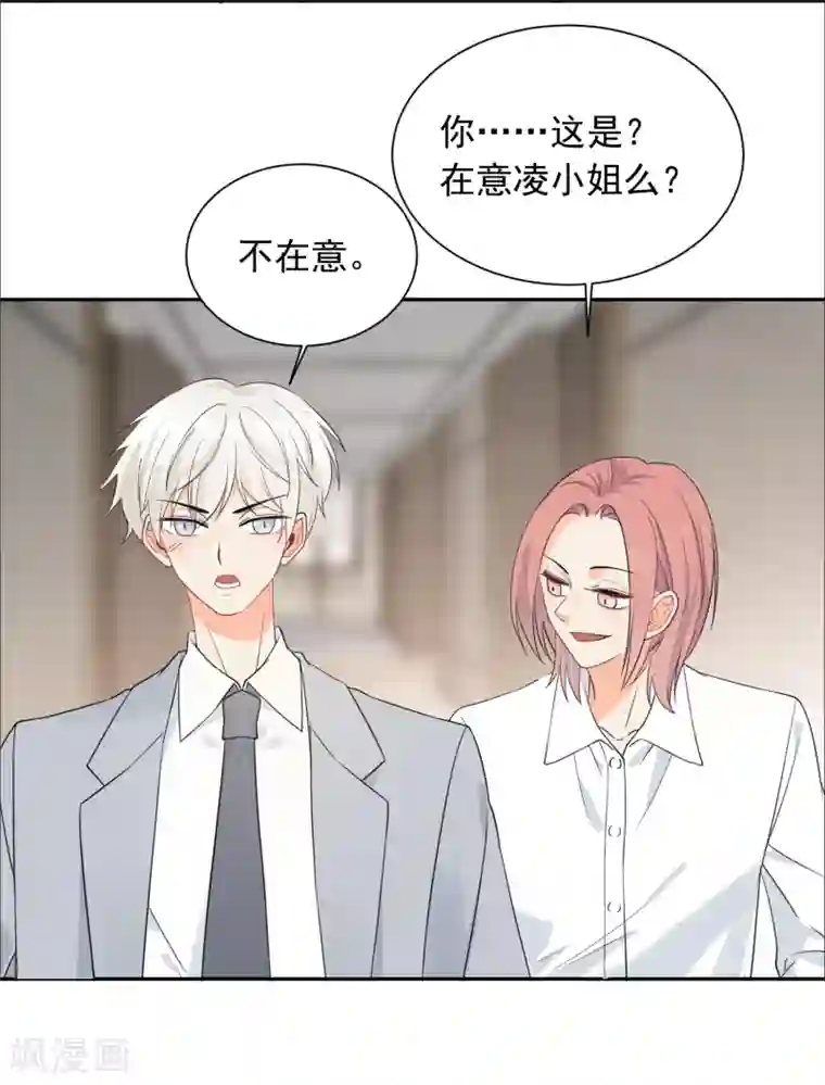 宠物情缘第39话 来者不善