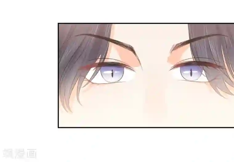 宠物情缘第41话 酒桌战场