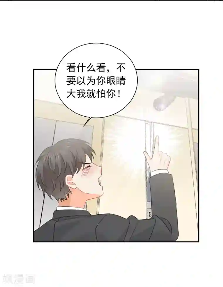 宠物情缘第42话 逞强