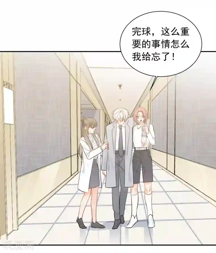 宠物情缘第42话 逞强