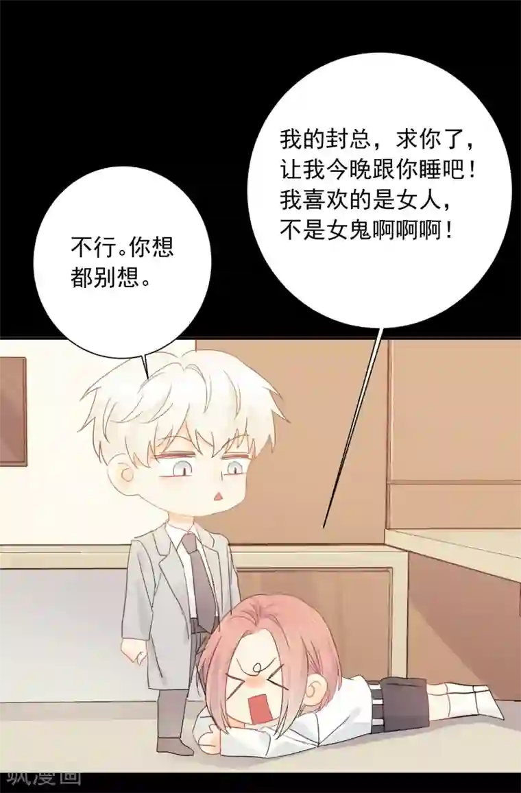 宠物情缘第42话 逞强