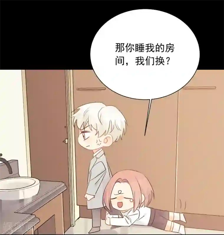 宠物情缘第42话 逞强