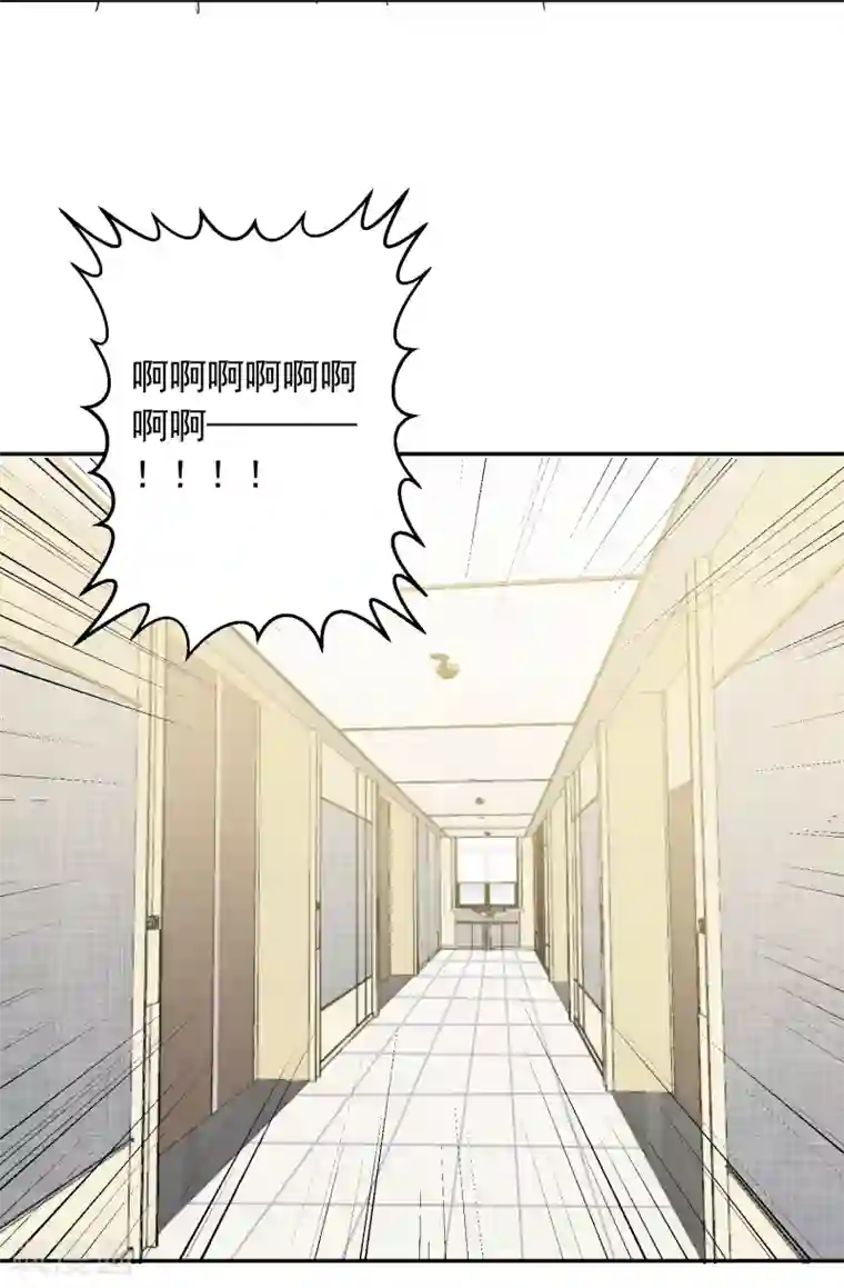 宠物情缘第42话 逞强