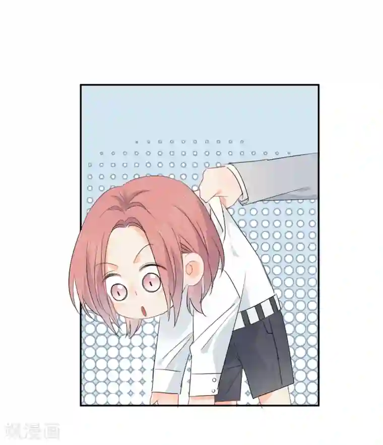 宠物情缘第42话 逞强