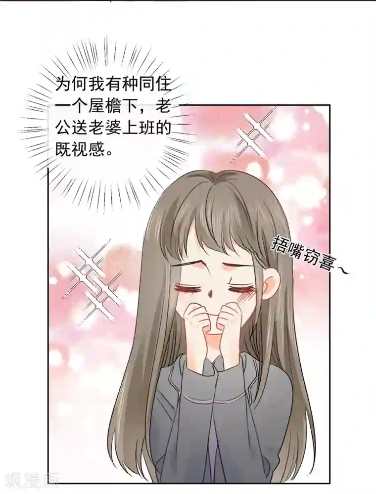 宠物情缘第44话 工作狂？