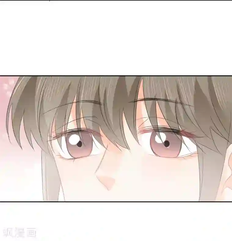 宠物情缘第45话 怂包