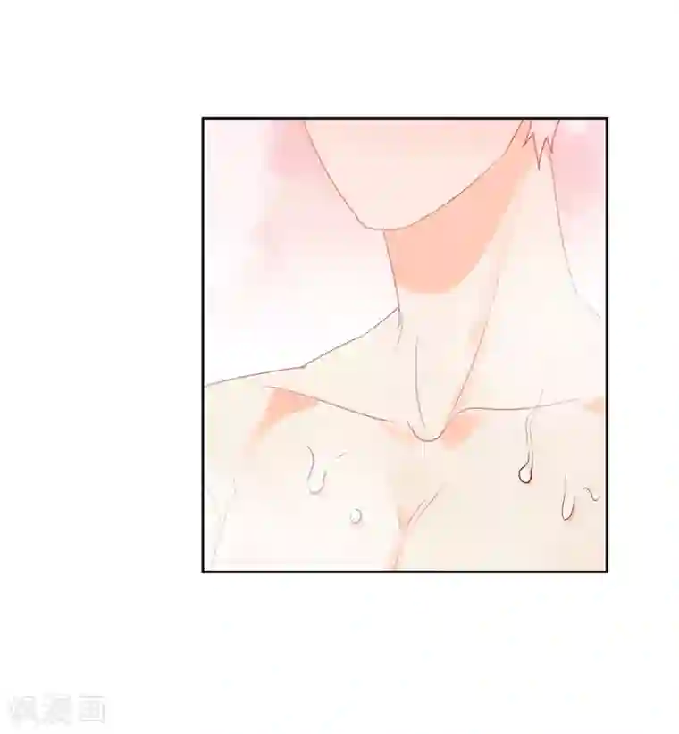 宠物情缘第45话 怂包