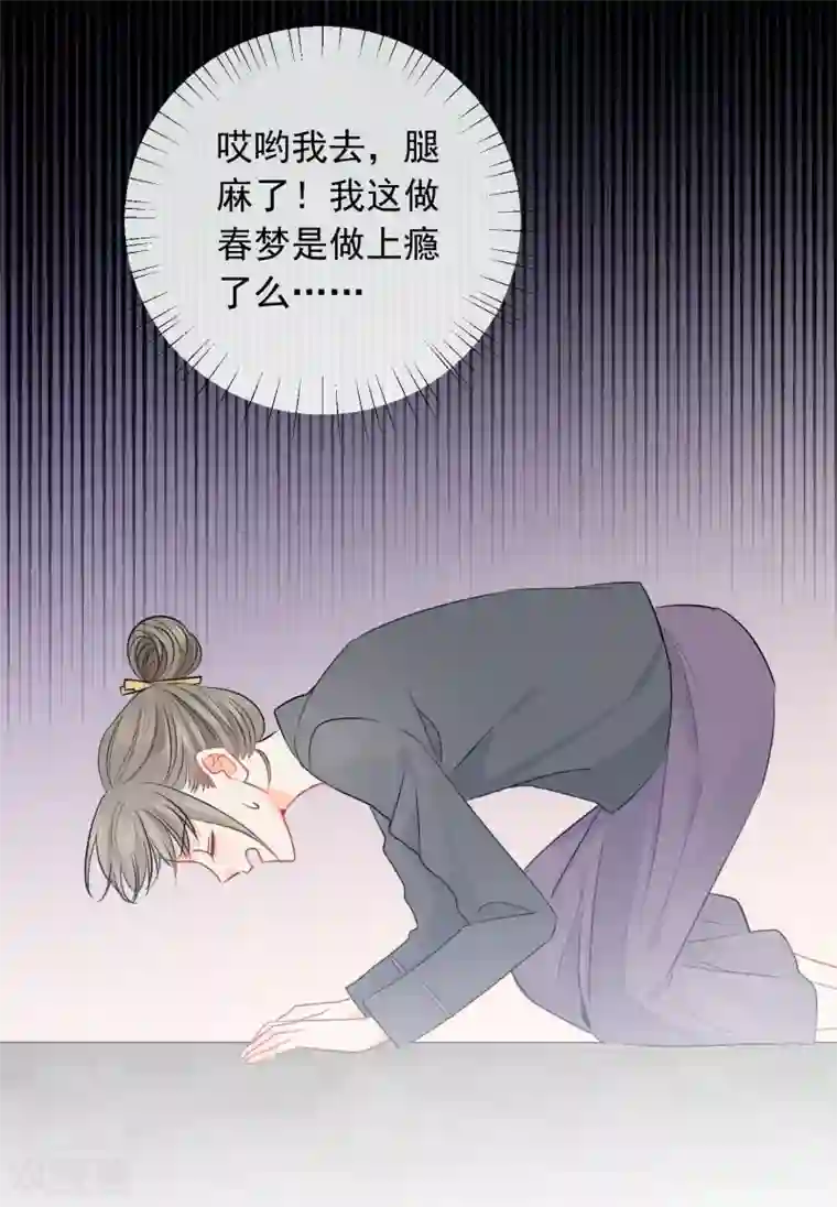 宠物情缘第47话 上瘾