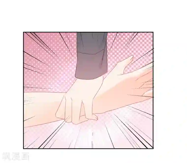 宠物情缘第48话 爱情的鸵鸟