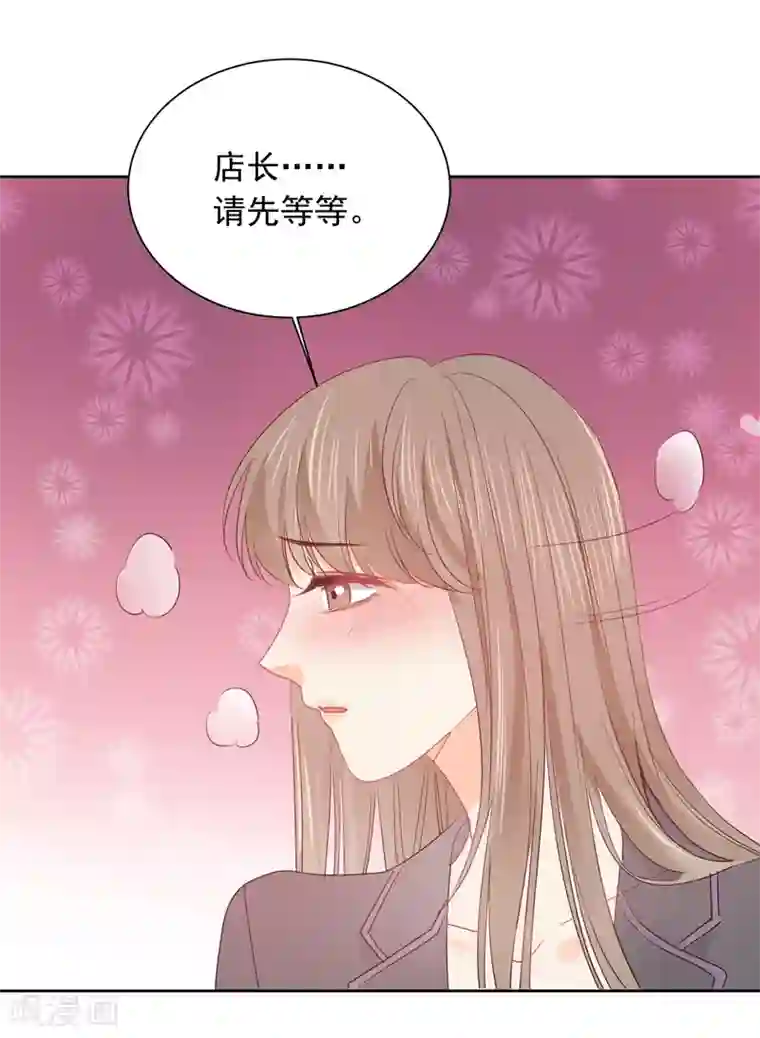 宠物情缘第48话 爱情的鸵鸟