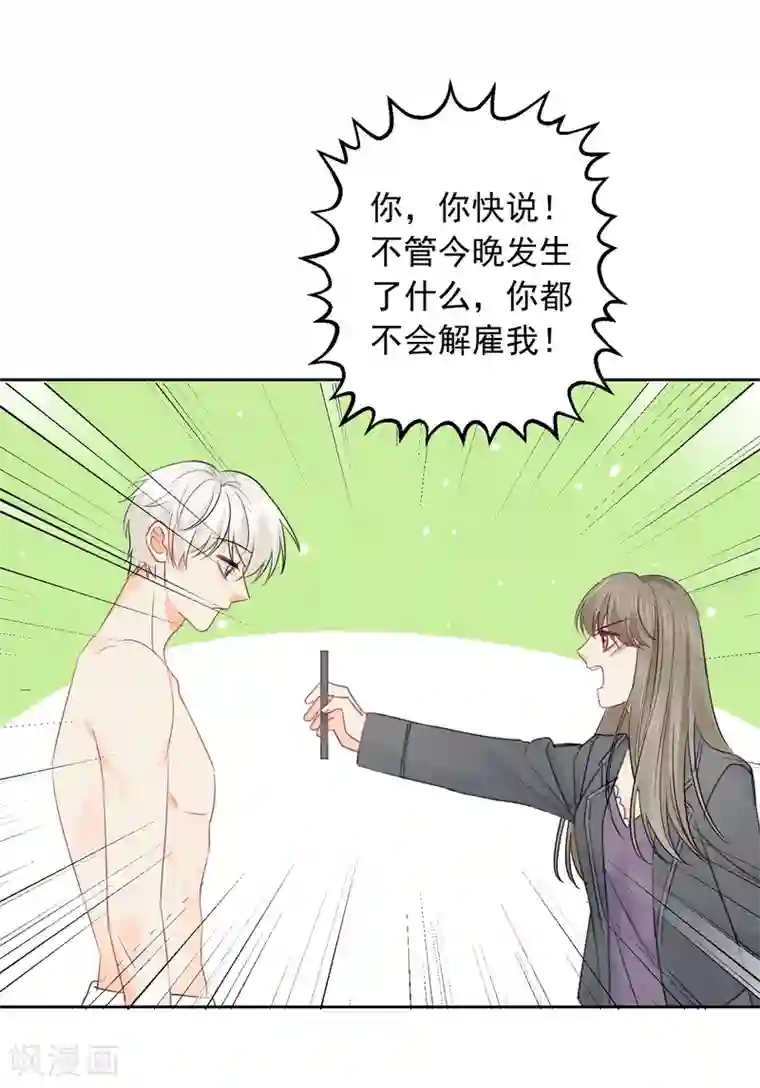 宠物情缘第48话 爱情的鸵鸟