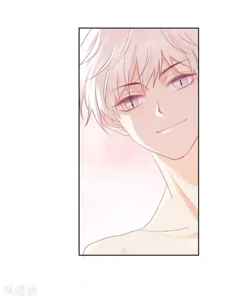 宠物情缘第48话 爱情的鸵鸟