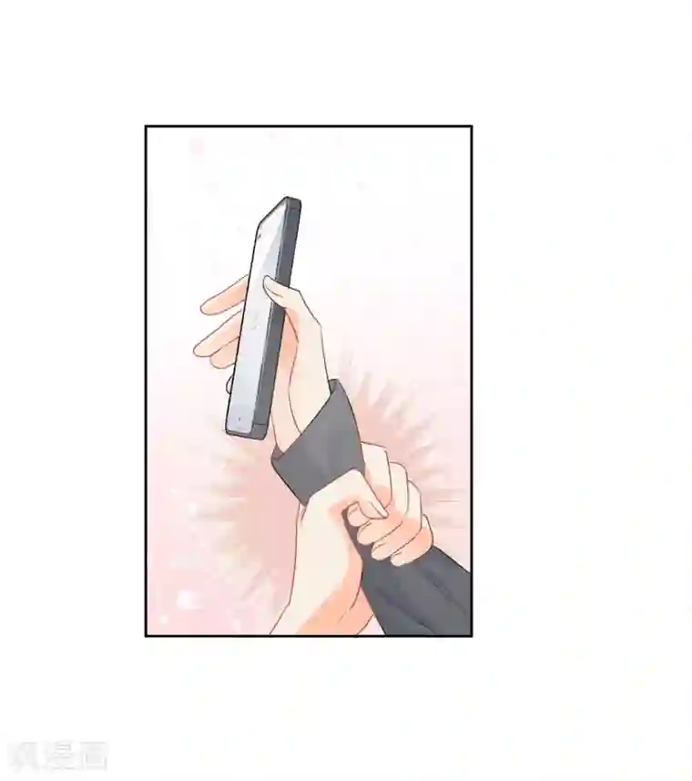 宠物情缘第48话 爱情的鸵鸟