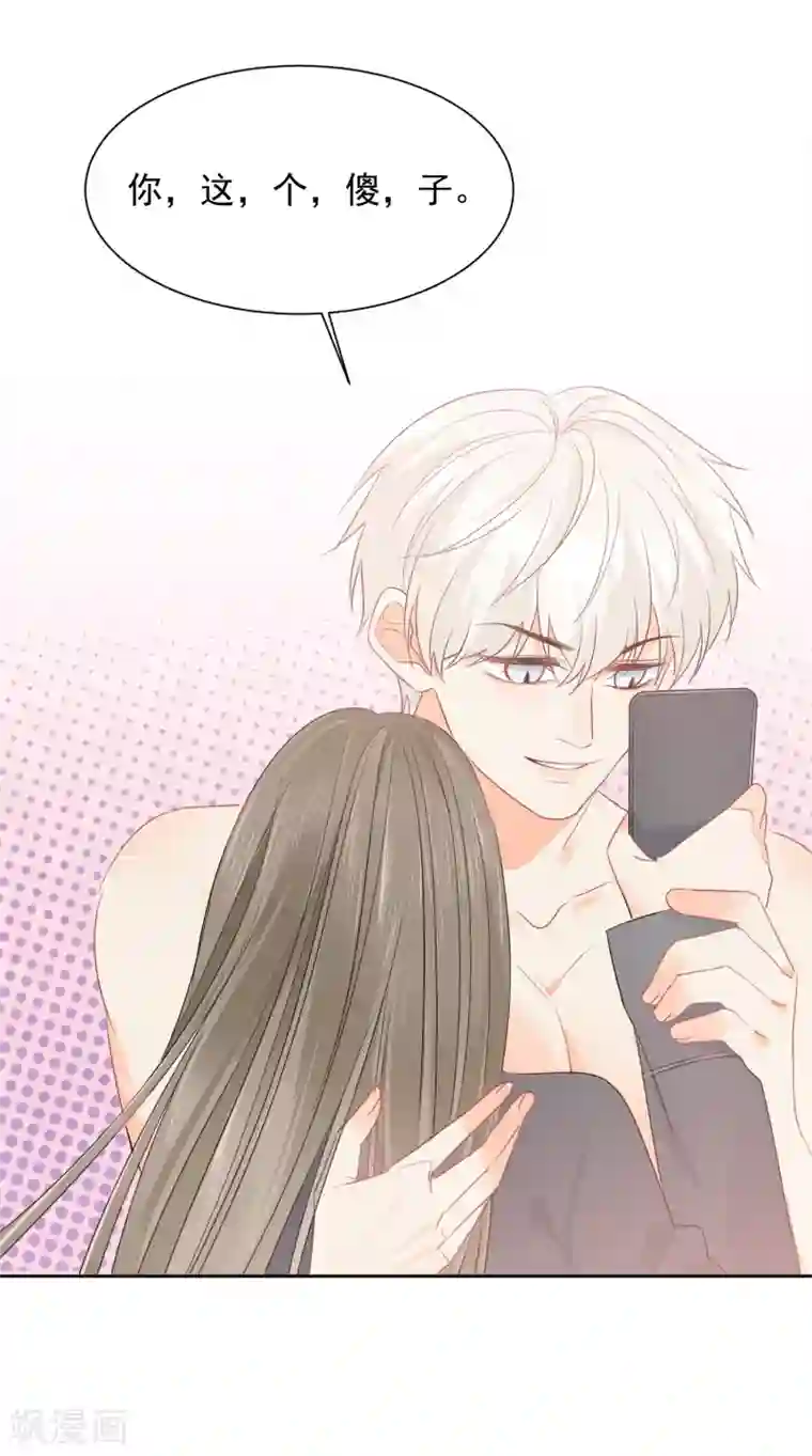 宠物情缘第48话 爱情的鸵鸟