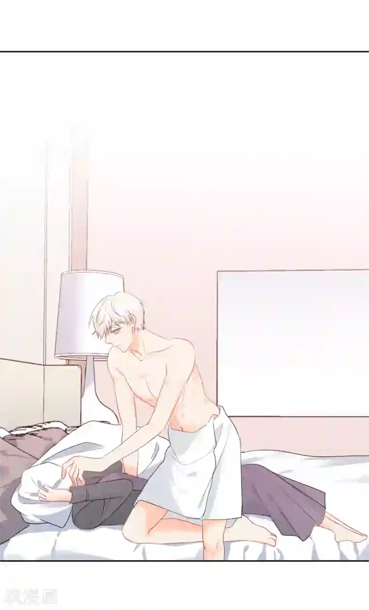 宠物情缘第48话 爱情的鸵鸟