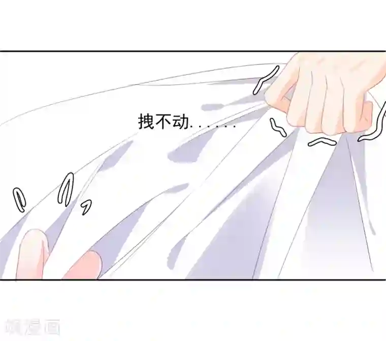 宠物情缘第48话 爱情的鸵鸟