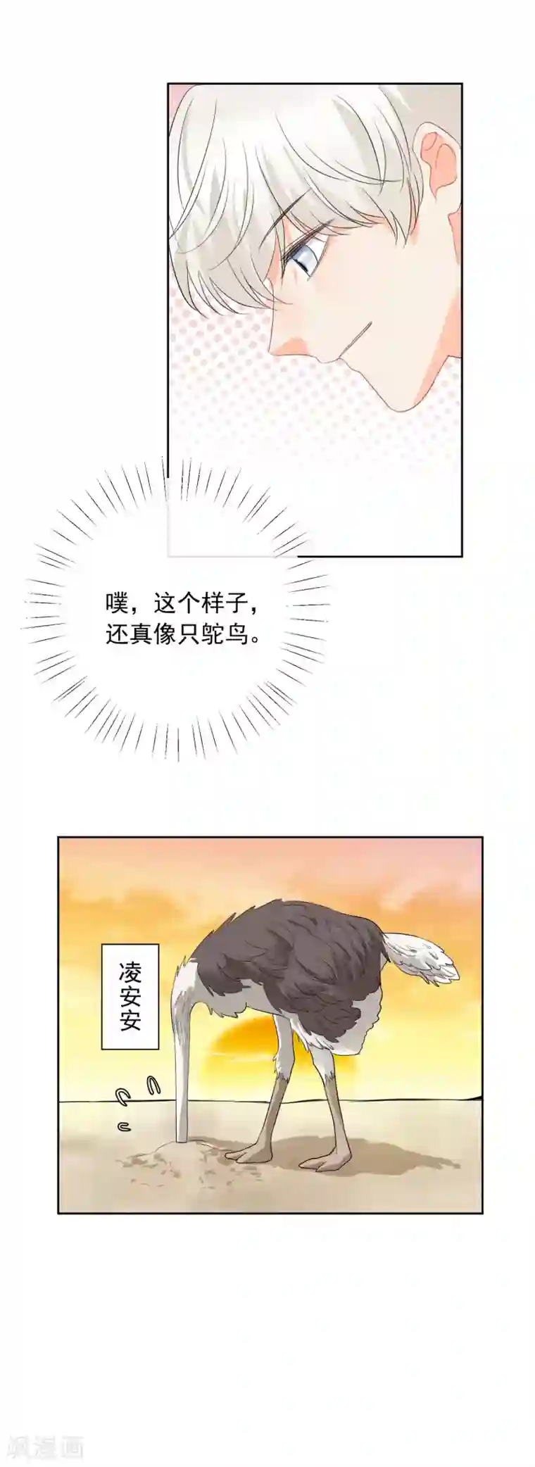 宠物情缘第48话 爱情的鸵鸟