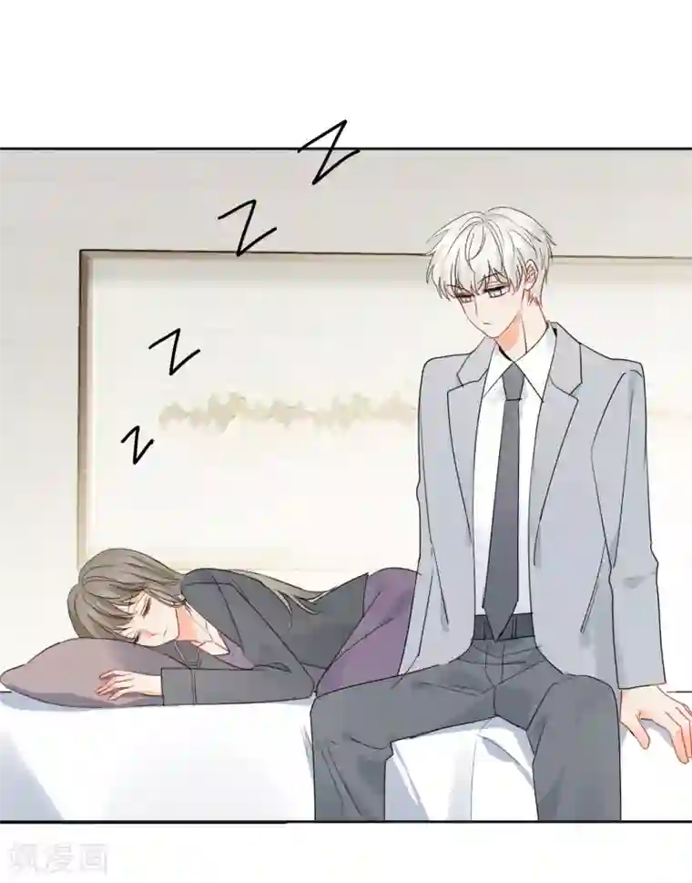 宠物情缘第48话 爱情的鸵鸟