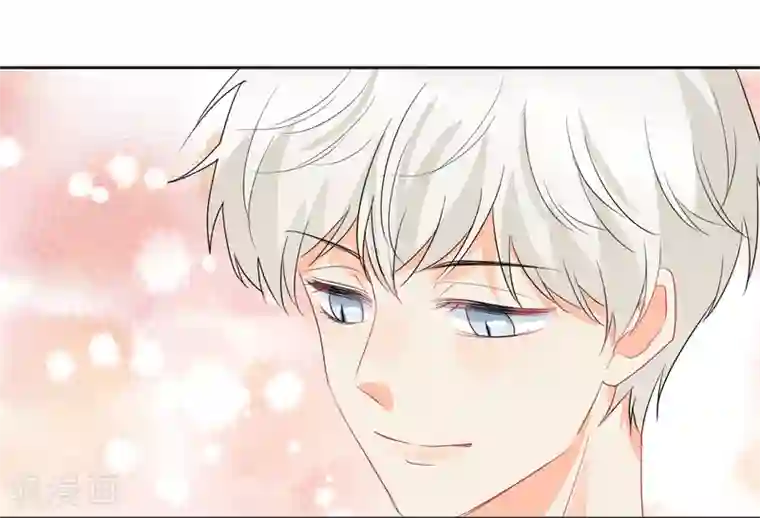 宠物情缘第48话 爱情的鸵鸟