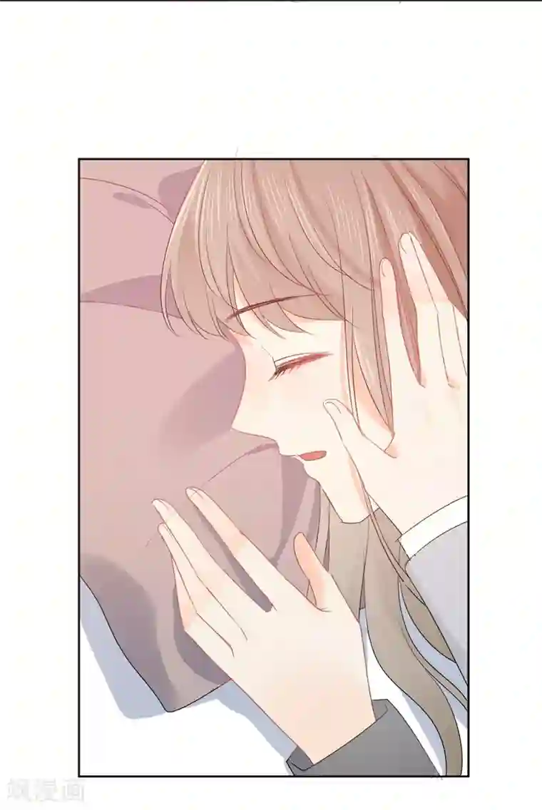 宠物情缘第48话 爱情的鸵鸟