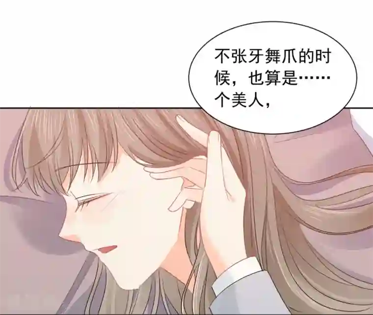 宠物情缘第48话 爱情的鸵鸟