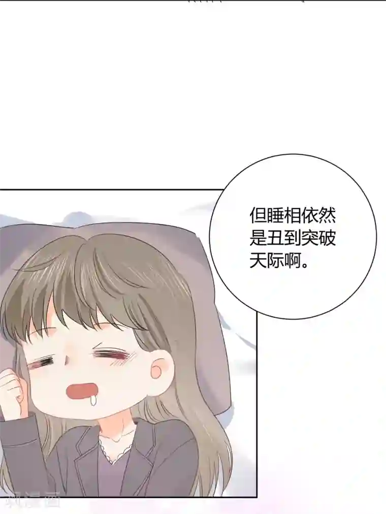 宠物情缘第48话 爱情的鸵鸟