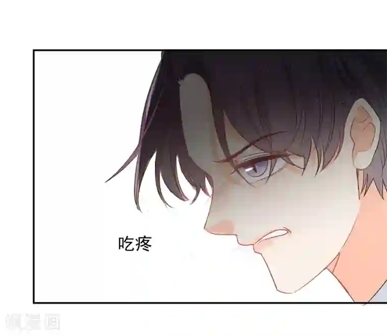 宠物情缘第52话 人不如畜2