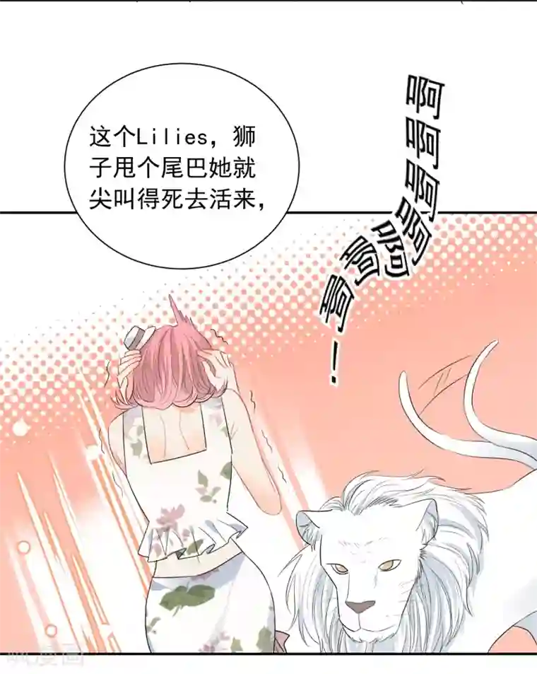 宠物情缘第53话 牺牲品