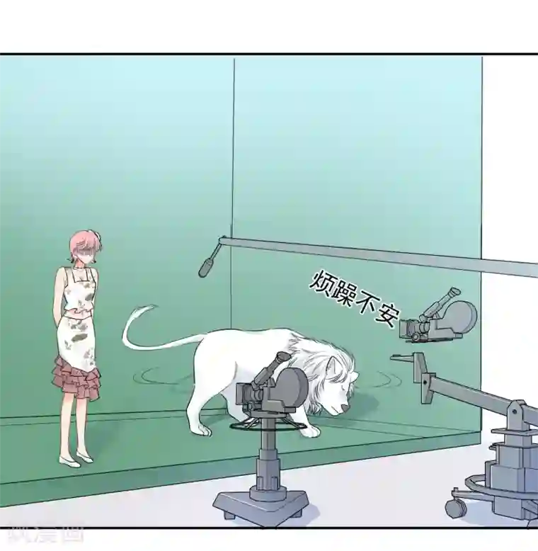 宠物情缘第53话 牺牲品