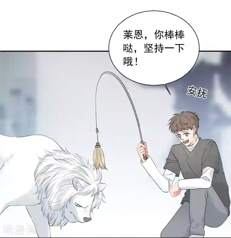 宠物情缘第53话 牺牲品