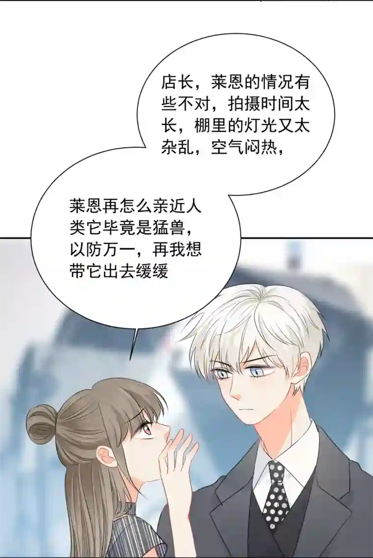 宠物情缘第53话 牺牲品