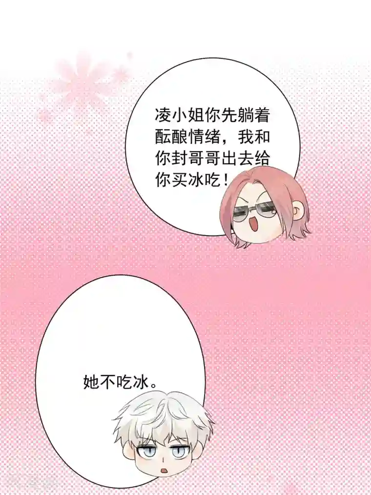 宠物情缘第56话 只需享受宠溺