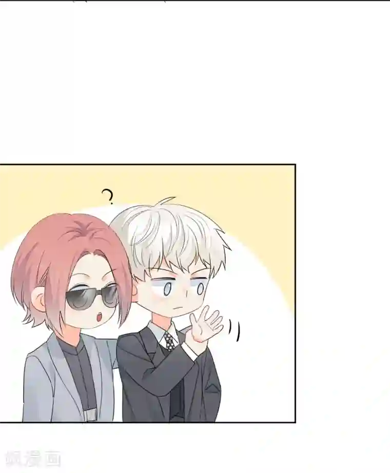 宠物情缘第56话 只需享受宠溺