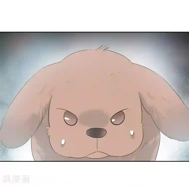 宠物情缘第59话 狂蟒危机1