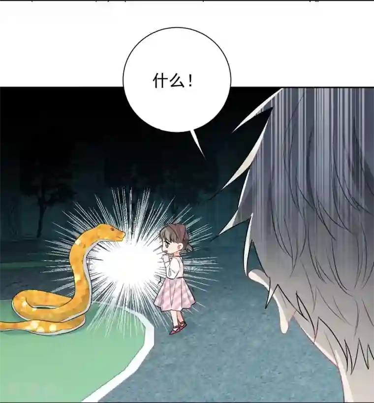 宠物情缘第59话 狂蟒危机1