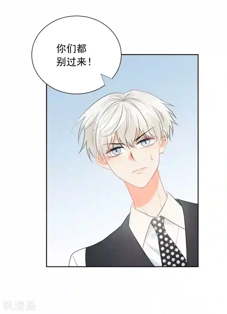 宠物情缘第59话 狂蟒危机1