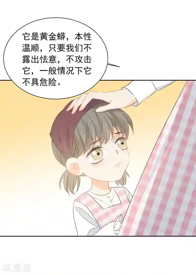 宠物情缘第59话 狂蟒危机1