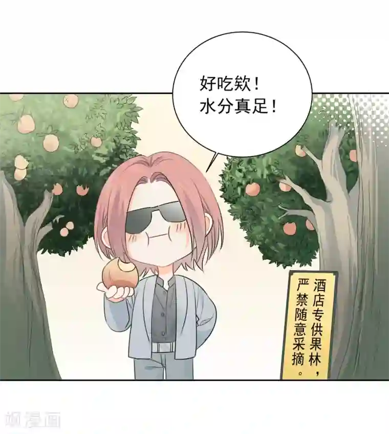 宠物情缘第59话 狂蟒危机1